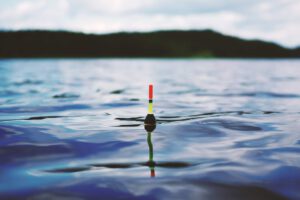 29 Catfishing Statistics to Stop You From Getting Hooked