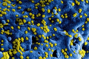 32 Worrisome STD Statistics You Ought to Know in 2024